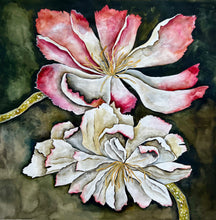 Load image into Gallery viewer, Deflorseco Venustus 52x52
