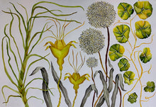 Load image into Gallery viewer, Grass Pads Flowers 38x55