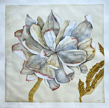 Load image into Gallery viewer, Delicatus 52x52