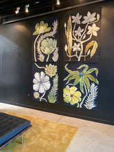 Load image into Gallery viewer, Americanus Amabilus 40x51