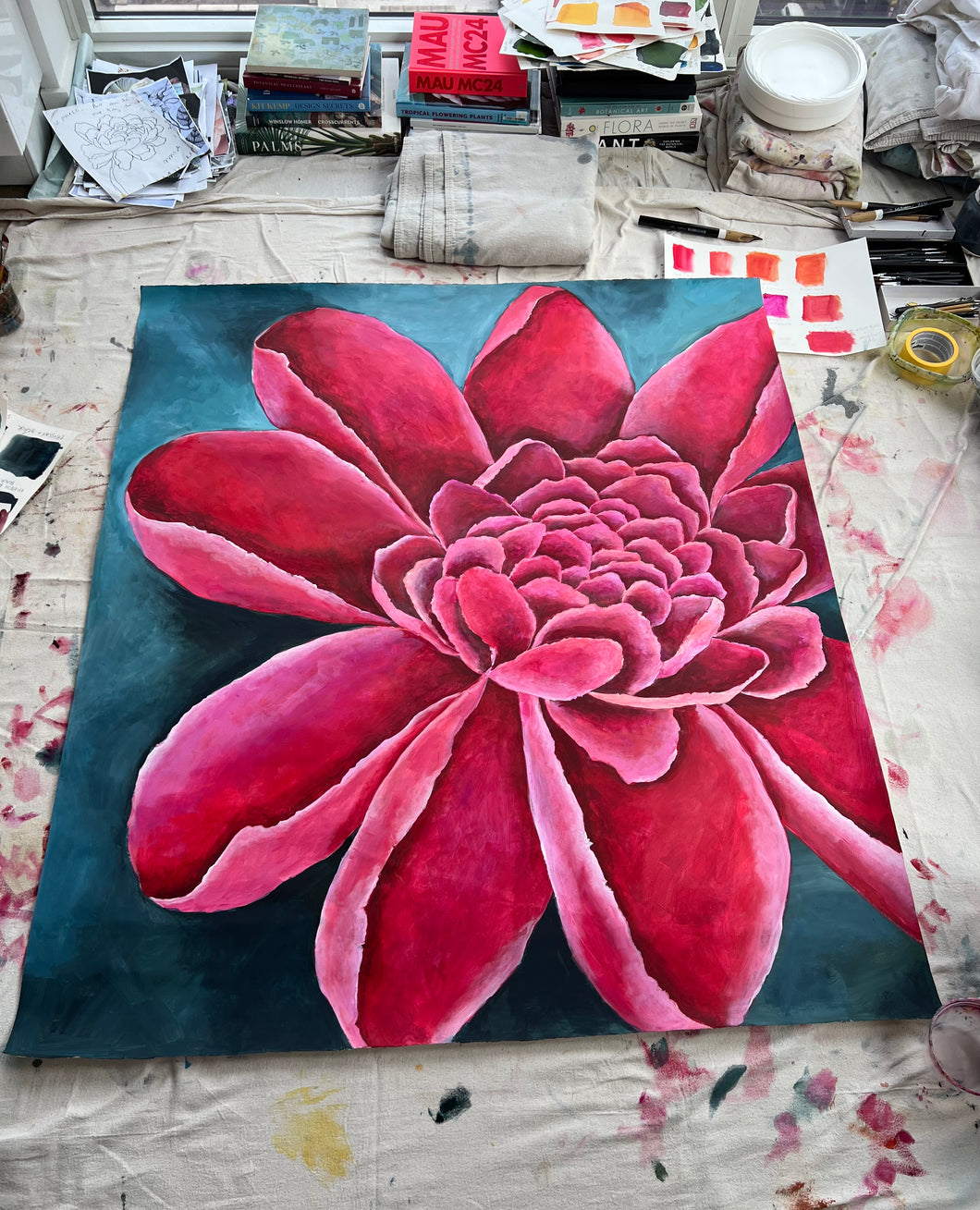 Fidelis Venus 48x55