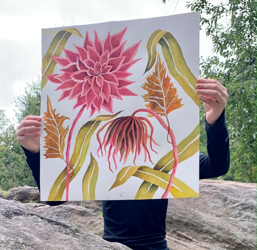 Pink Dahlia Pink Droop 18x20