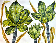 Load image into Gallery viewer, Foliosus 40x52
