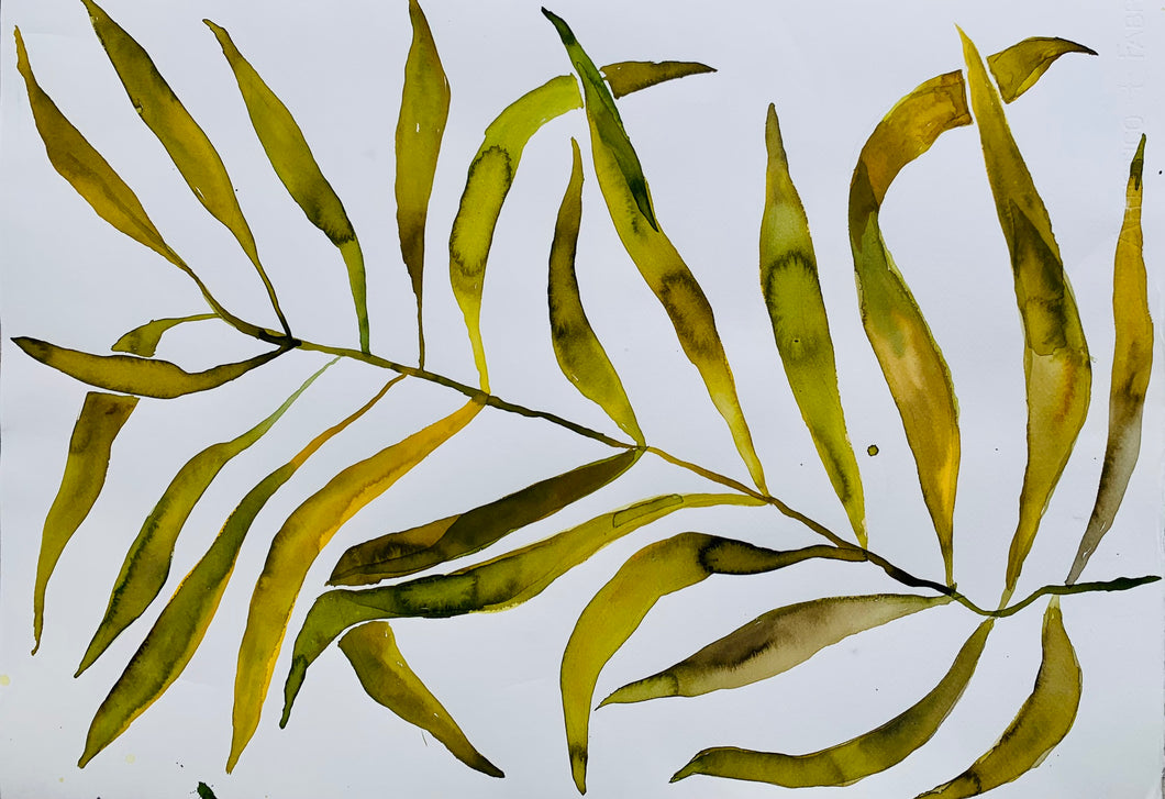 Rustled Palm Leaf 18x25