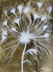 Sepia Dandelion 22x30