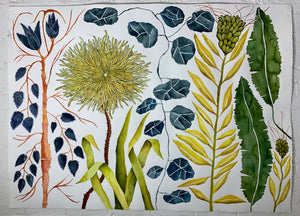 Yellow Reaching Blume Among Blue 40x55