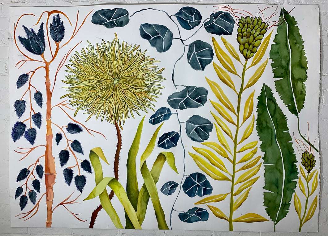 Yellow Reaching Blume Among Blue 40x55