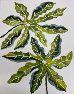Star Leaves 24x30