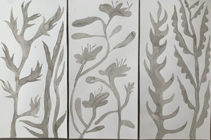 Grey Botanical Set