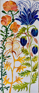 Peach Plume 25x60