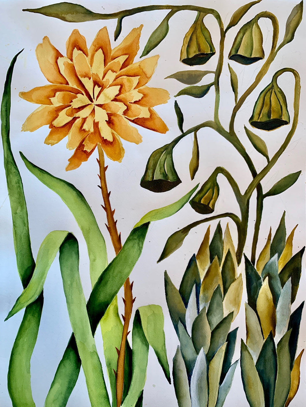 Green Bell Yellow Dahlia 18x24