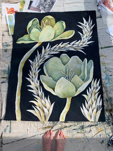 Sagittifolius 40x51