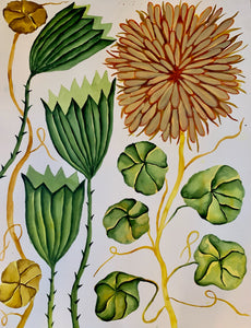Dahlia Green Flute 18x24
