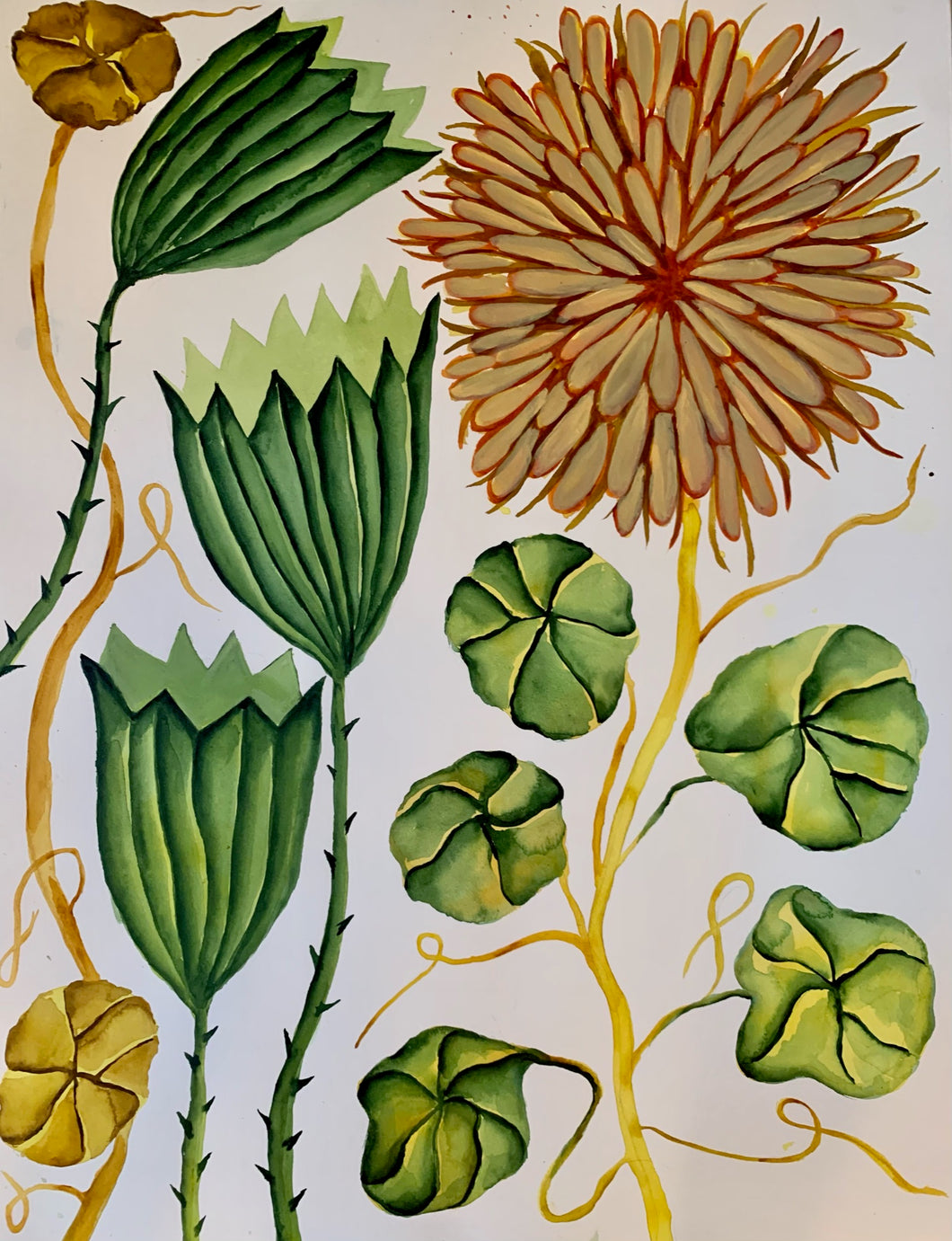 Dahlia Green Flute 18x24
