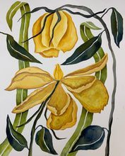 Load image into Gallery viewer, Yellow Shedding Droop 24x30
