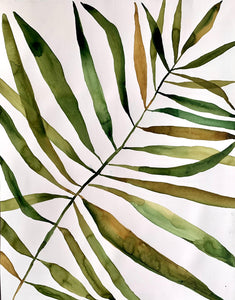 Focused Palm Study 23.5x30