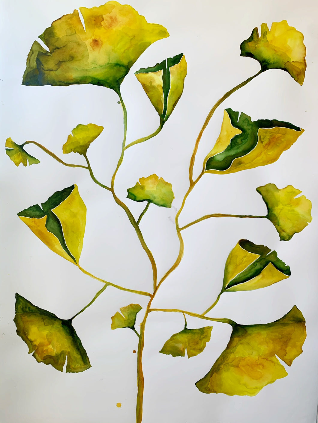 Ginkgo Leaves 40x55