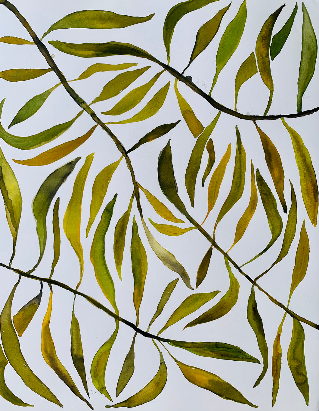 Palm Leaf Study 16x20
