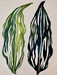 Twin Pods 24x30