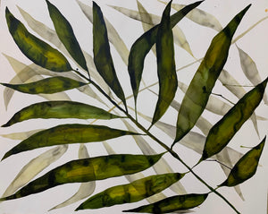 Palm and Shadow 44x55