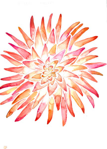 Pink Dahlia 18x25