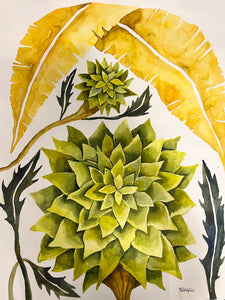 Growing Sunshine 24x30