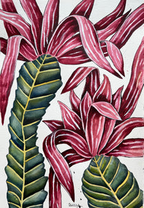 Filius Blossom