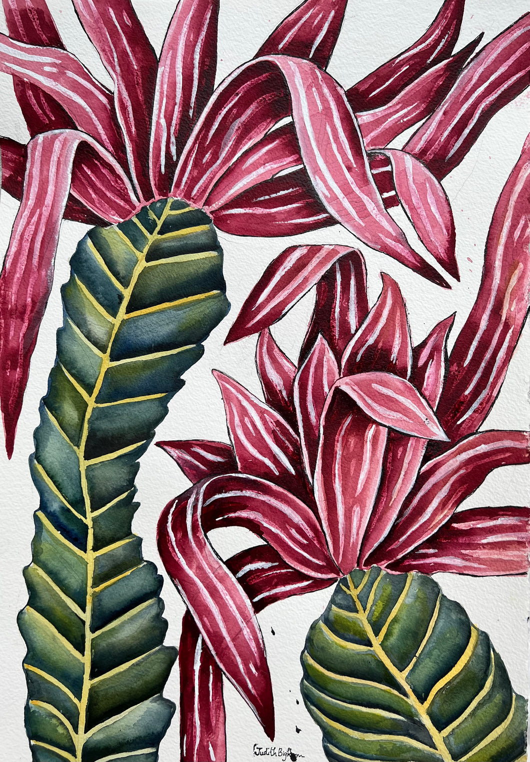 Filius Blossom