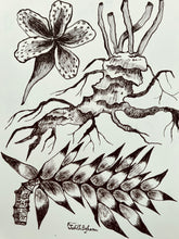 Load image into Gallery viewer, Imaginarium No. 4
