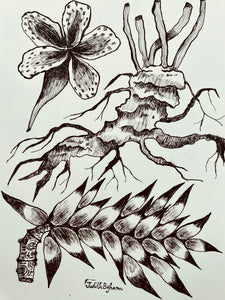 Imaginarium No. 4