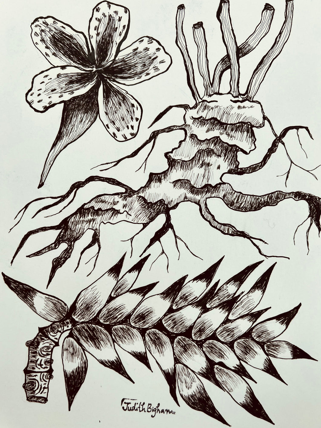 Imaginarium No. 4
