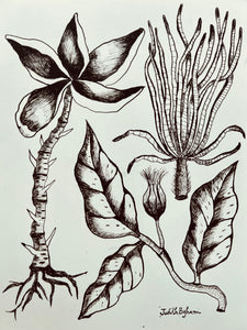 Imaginarium No. 5