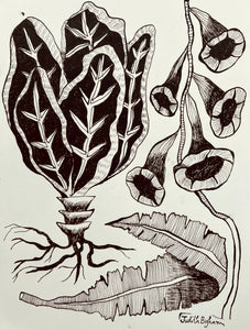 Imaginarium No. 12