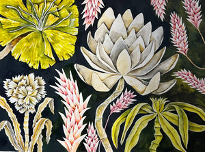 Insignis Venustas 51x70