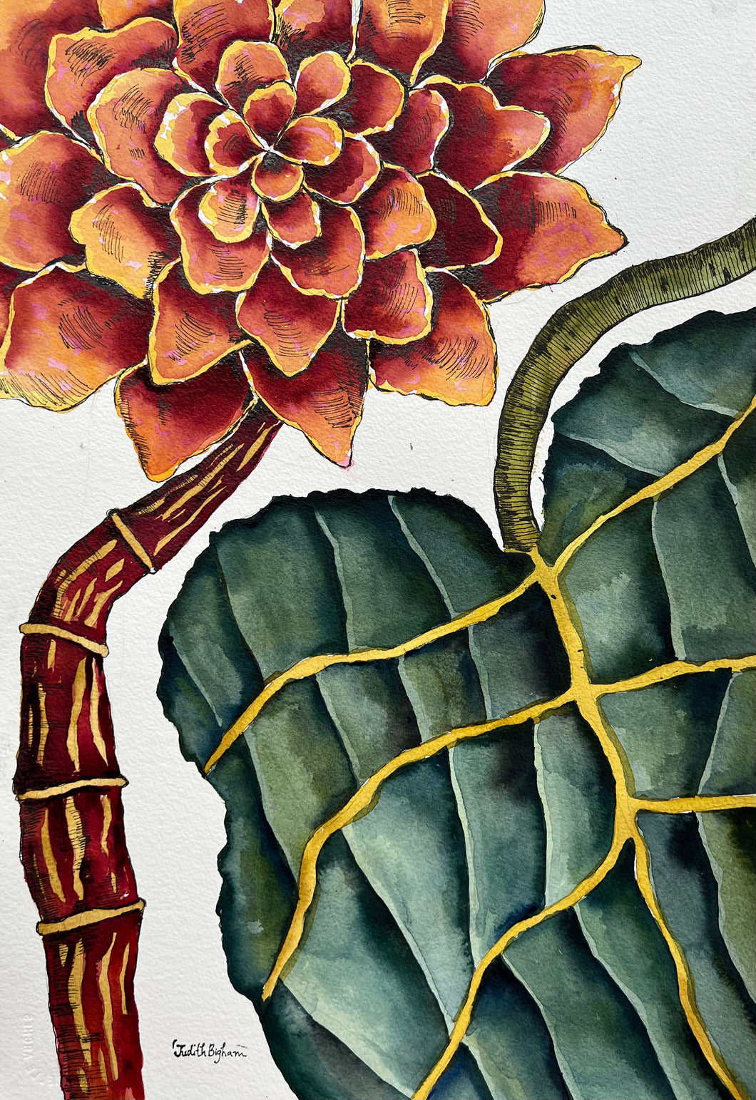 Warm Orange Folium